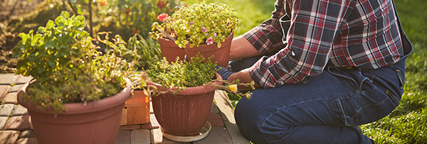 arbeiten im garten