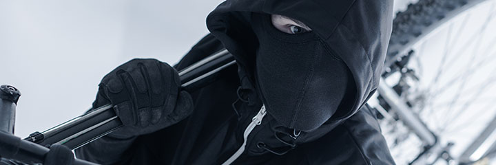 Headerbild