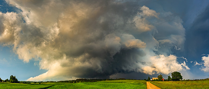 Headerbild
