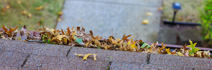 Headerbild