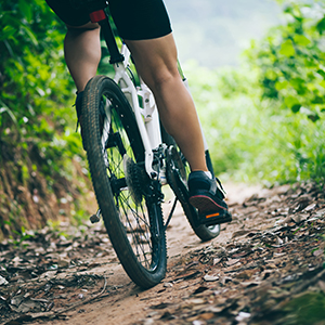 radfahrer im wald