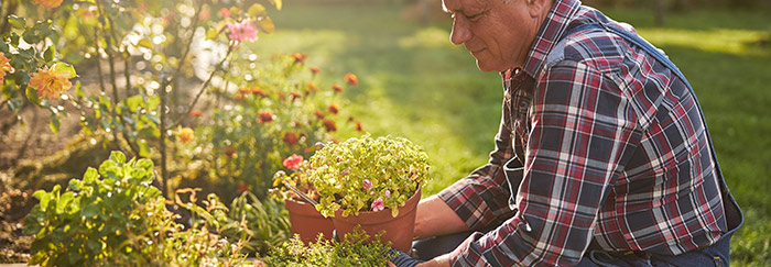 mann arbeitet im garten